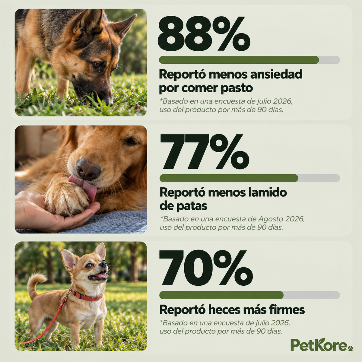 Masticables de Cuidado Diario para Perros