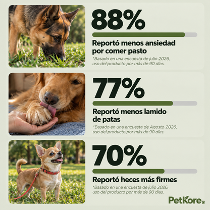 Masticables de Cuidado Diario para Perros