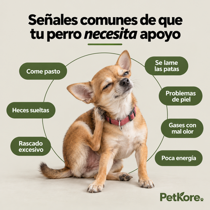 Masticables de Cuidado Diario para Perros