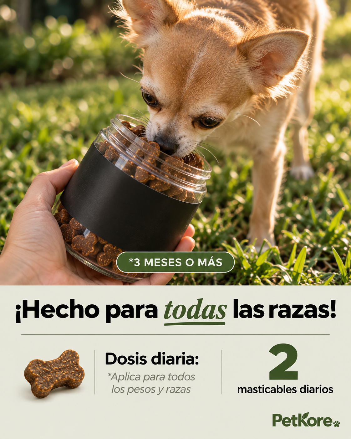 Masticables de Cuidado Diario para Perros